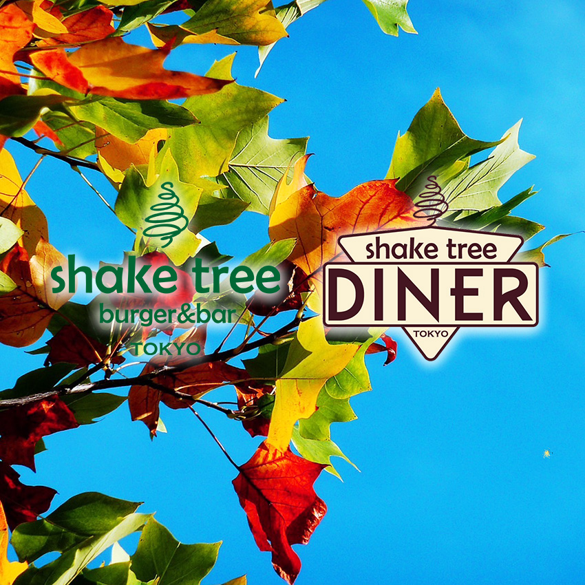 シルバーウィークの営業時間のお知らせ – Shake Tree
